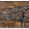 De Cosimo&amp;amp;amp;#039;s Dog 2014